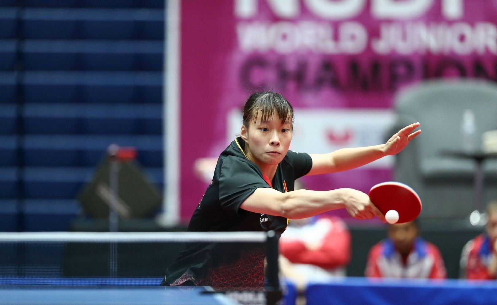 这为双方合 这为双方合